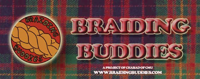 Braiding Buddies Web Banner plaid.jpg